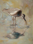 Janet Powers Bird Paintings